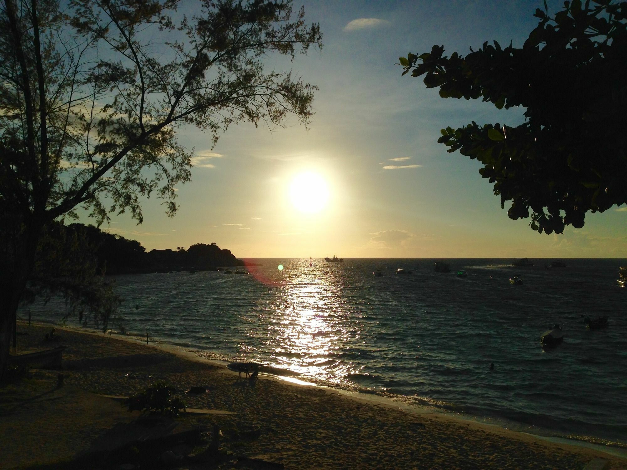 Coral View Studio Ko Tao Bagian luar foto